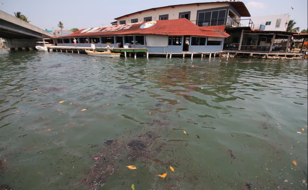 Derrame de hidrocarburo en Tabasco mata peces y cierra playas; acusan a ...