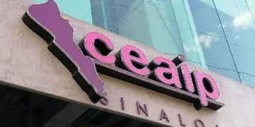 En 22 años, Sinaloa acumuló más de 250 mil solicitudes de acceso a la información; ahora, Morena eliminó estos mecanismos