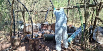 Autoridades aseguran armas y desmantelan siete áreas de concentración de químicos para drogas, en Sinaloa