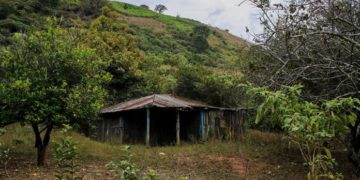 Inquietante hallazgo en la búsqueda de 10 mineros secuestrados en México