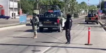 Matan a adolescente de 15 años en Culiacán; había salido a comprar alimento para gatito que recién había adoptado