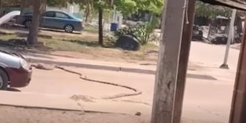 Abaten Marinos a un civil armado durante enfrentamiento en Navolato, Sinaloa