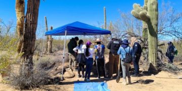 Hallan 16 fosas clandestinas con 19 posibles víctimas en el desierto de Sonora