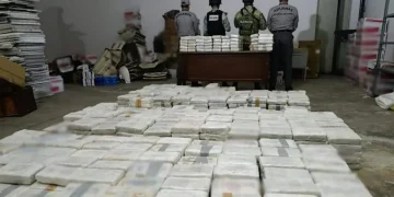 Destruyen más de 230 toneladas de precursores químicos en Michoacán y Sinaloa