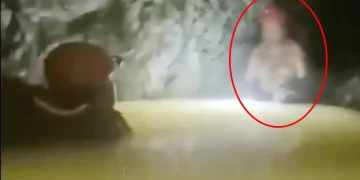 VIDEO: Momento del rescate del minero atrapado 14 días en mina de Sinaloa