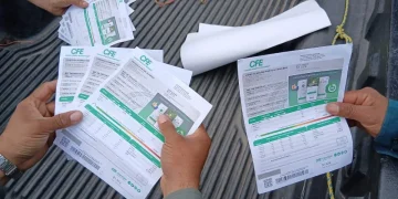 Cobros de luz altos en Sinaloa es por falta de lectura derivado de la inseguridad: Tere Guerra