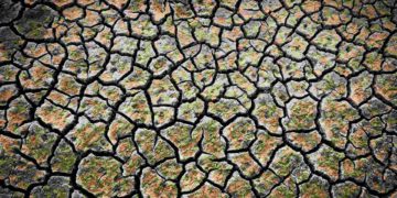 México acogerá la próxima Conferencia Internacional sobre Educación en Cambio Climático