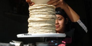 “No hay ninguna razón”: Sheinbaum descarta incremento en el precio de la tortilla