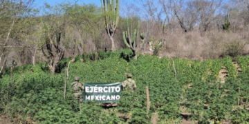 Aseguran vehículo tipo “monstruo” y arsenal en Sinaloa; Ejército detiene a hombre y mujer armados en Culiacán