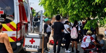 Abejas atacan a 100 personas en telesecundaria de Cuautla, Morelos