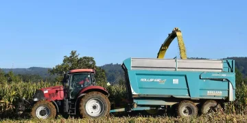 Temporaleros de Sinaloa advierten crisis por recorte en entrega de semilla para sorgo