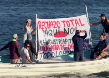 ‘Es el inicio de un megaecocidio’: Aumenta la oposición contra la construcción de una planta de amoniaco en Topolobampo, SinaloaNaturaleza Aristegui
