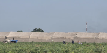 Por desgaste financiero, ven improbable alcanzar metas de siembra este año en Sinaloa