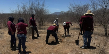 La guerra cambió las reglas de las búsquedas en Sinaloa