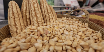 Gobierno federal inicia entrega de apoyos a 26 mil productores de maíz en Sinaloa