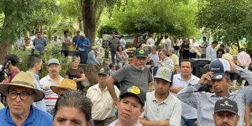 Gobierno de Sinaloa se deslinda de citatorios de la FGR a productores agrícolas