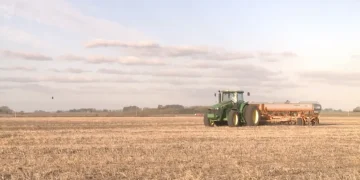 Sinaloa quiere sembrar más trigo, pero enfrenta un problema antes de la campaña