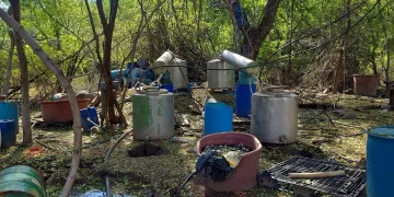 Inhabilitan autoridades federales narcolaboratorio en Sinaloa